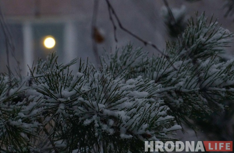 Холадна і мокры снег: апошні дзень восені 2017 у Гродне Холадна і мокры снег: апошні дзень восені 2017 у Гродне