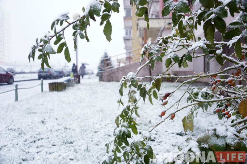 Холадна і мокры снег: апошні дзень восені 2017 у Гродне Холадна і мокры снег: апошні дзень восені 2017 у Гродне