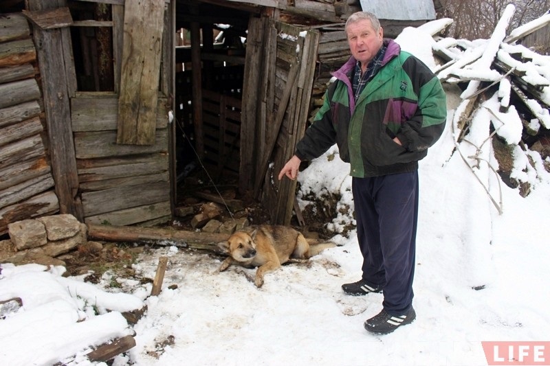 Гродзенец злавіў аднаго са здзічэлых сабак, якія турбуюць гараджан