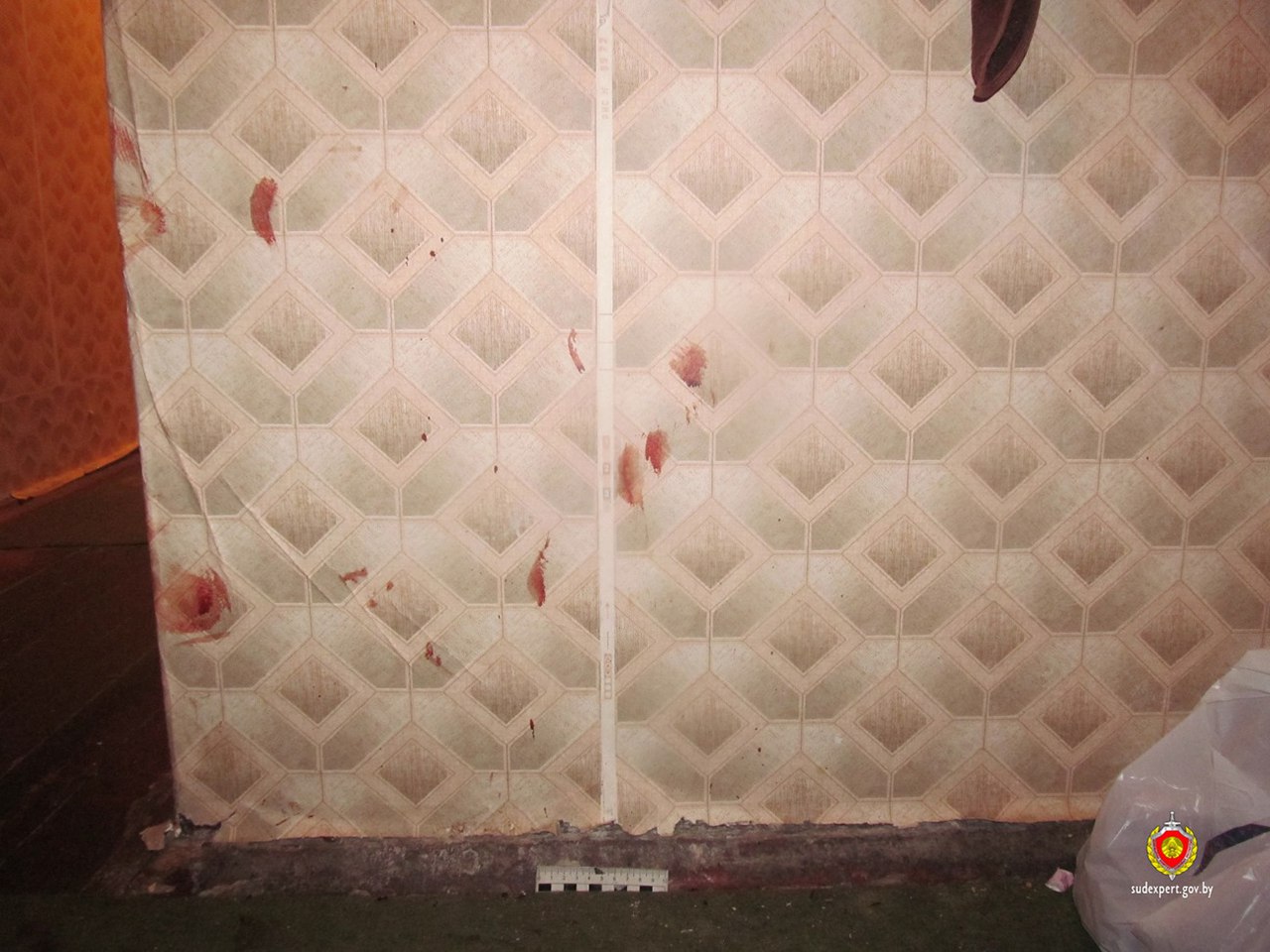 Ножом в сердце: 24-летняя девушка из-за ревности убила своего парня