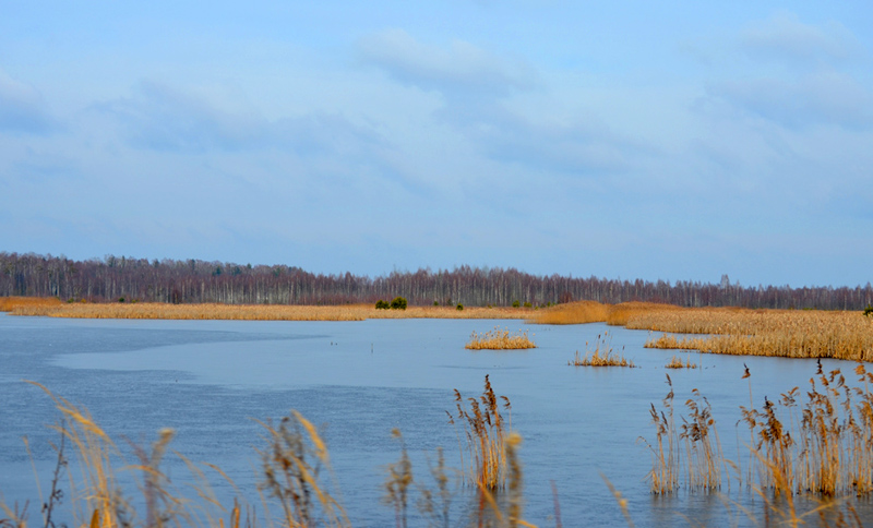 Стаянка для караванераў і рэстаран на вадзе: чым будзе жыць заказнік «Азёры»?