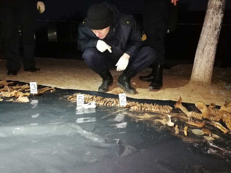 У Гродне на месцы будучага гандлёвага комплексу «Triniti» будаўнікі знайшлі парэшткі салдат У Гродне на месцы будучага гандлёвага комплексу «Triniti» будаўнікі знайшлі парэшткі салдат