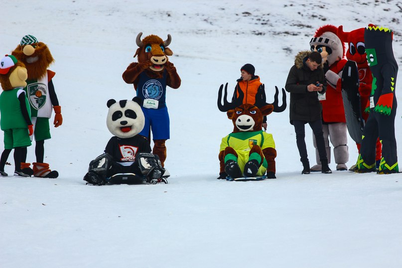 Талісман гродзенскага "Нёмана" Губі выступіў на літоўскім фестывалі: вясёлыя фоты