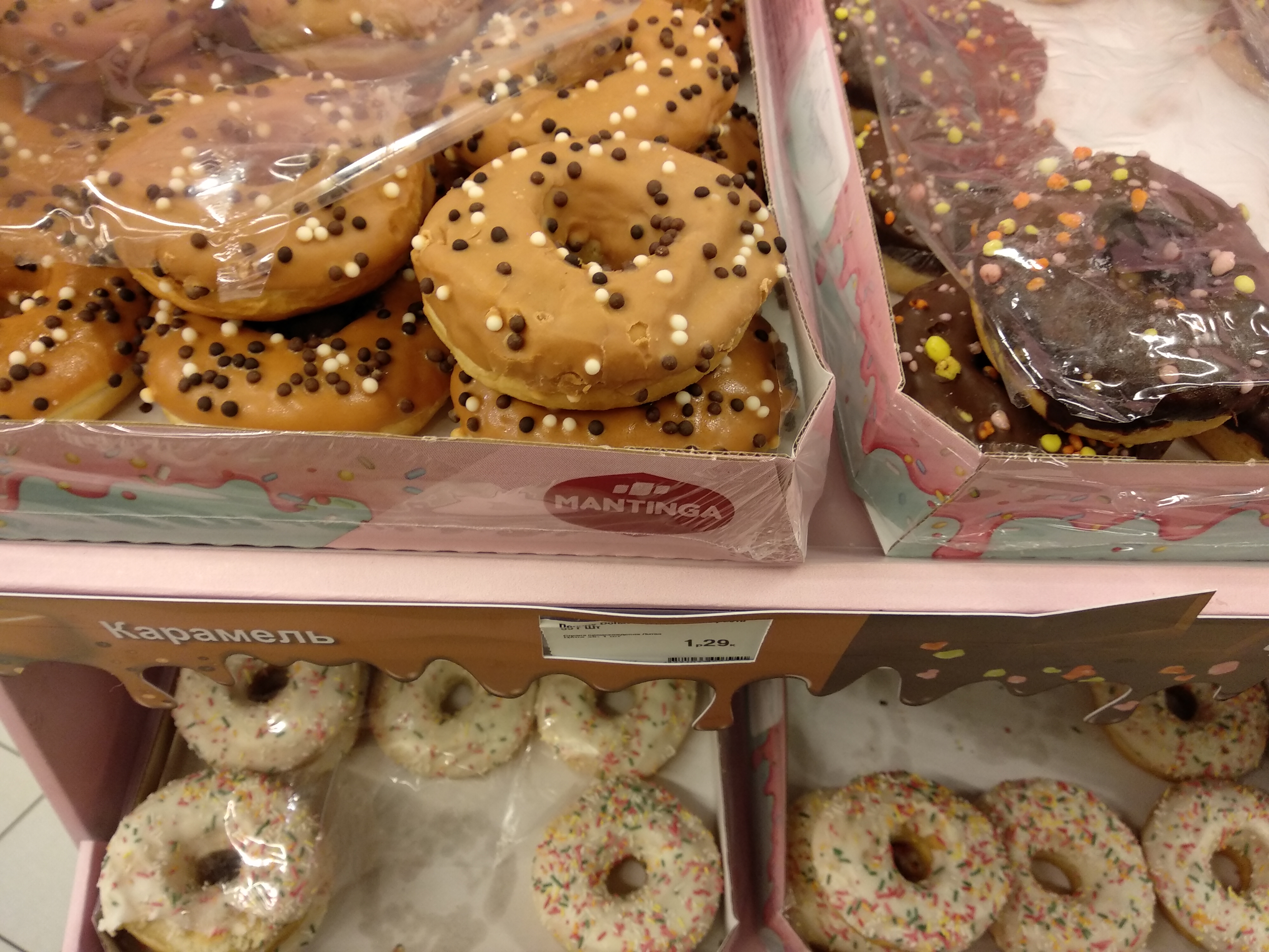 У Гродне пальмавы алей тэстуюць на студэнтах і пацуках. Што з "пальмай" не так?