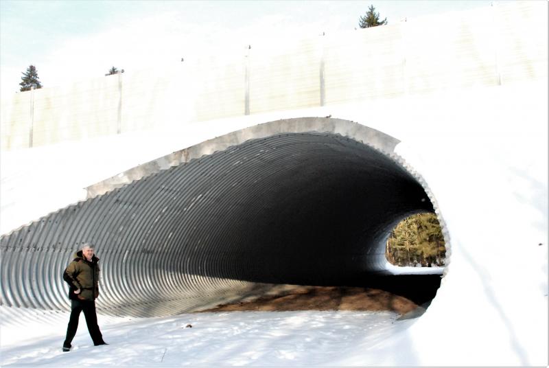 Пакуль там гуляе толькі ліса. Як выглядае першы падземны пераход для жывёл на трасе М6