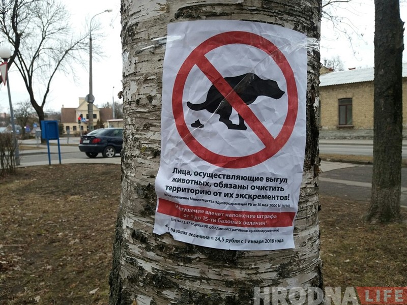 Гродзенцаў заклікаюць прыбіраць за сваімі гадаванцамі Гродзенцаў заклікаюць прыбіраць за сваімі гадаванцамі