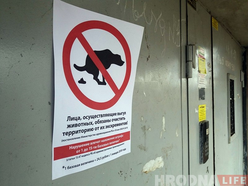 Гродзенцаў заклікаюць прыбіраць за сваімі гадаванцамі Гродзенцаў заклікаюць прыбіраць за сваімі гадаванцамі