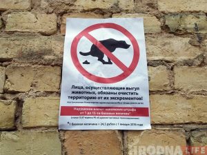 Гродзенцаў заклікаюць прыбіраць за сваімі гадаванцамі