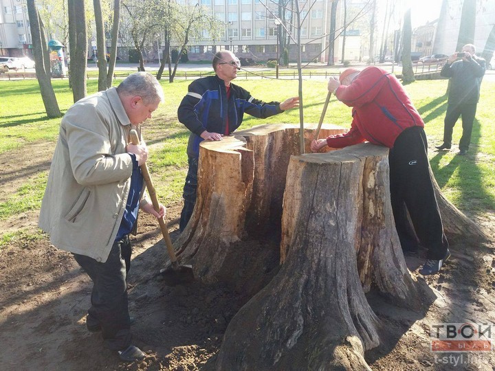 Два гады прайшло, а скульптура на месцы старога ясеня так і не з'явілася