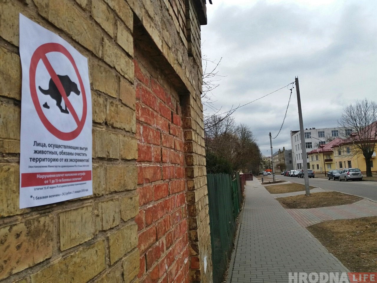 Гродзенцаў заклікаюць прыбіраць за сваімі гадаванцамі Гродзенцаў заклікаюць прыбіраць за сваімі гадаванцамі