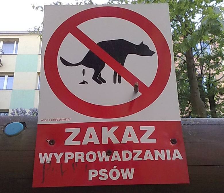 У Беластоку пачалі «паляваць» на сабачнікаў. Штраф за «міны» да 500 злотых
