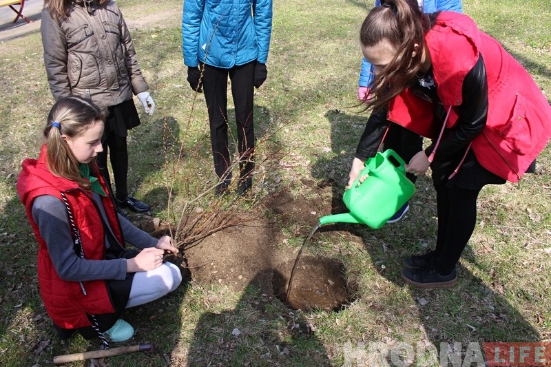 Батанічны сад у Гродне папоўніўся новымі раслінамі Батанічны сад у Гродне папоўніўся новымі раслінамі