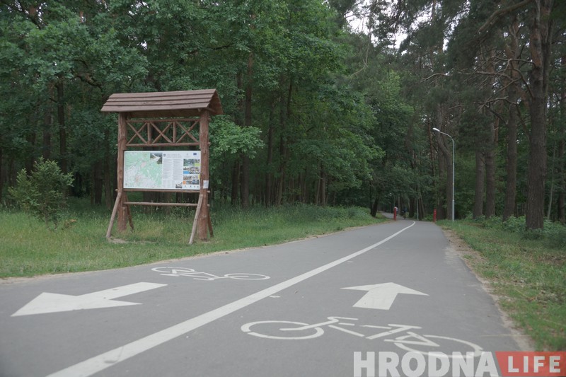 Велодорожка раздора. Пешеходы и велосипедисты не могут разделить дорогу в Пышках