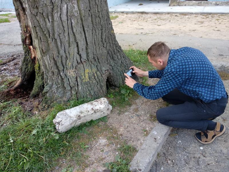 «Хочаце абследаваць? Вы не сябруеце з галавой». У Гродне гарэў стогадовы дуб, дрэва ратаваць не будуць