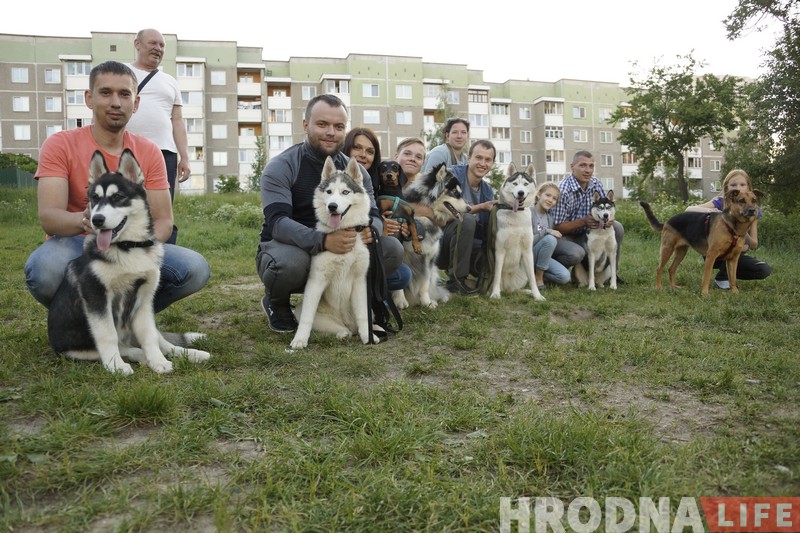 Ці стануць сабакі Гродна сябрамі ЖКГ. Жыхары Дзевятоўкі працягваюць змагацца за пляцоўку для выгула