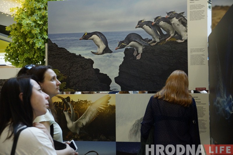 Выставу World Press Photo 2018 адкрылі ў Гродне