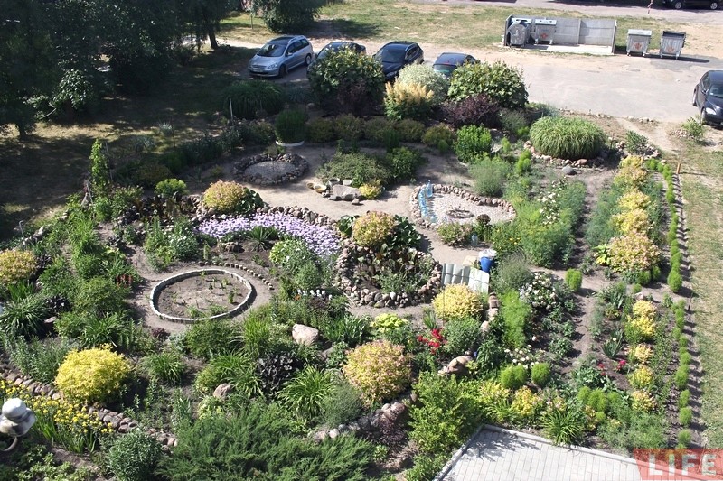 "Дайце вады". Лепшаму гродзенскаму кветніку патрэбен рэгулярны паліў, гаспадыня адна не спраўляецца