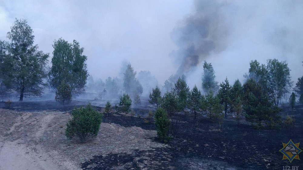 Пад Гродна гарэў вайсковы палігон, яго тушылі некалькі гадзін Пад Гродна гарэў вайсковы палігон, яго тушылі некалькі гадзін