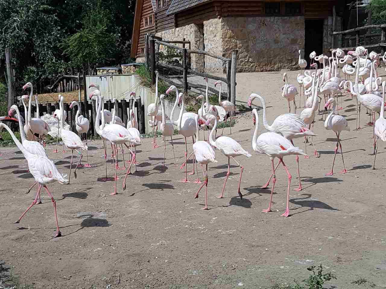 Незабываемое путешествие на родину античной цивилизации. Греция приглашает гродненцев!