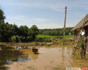 “Панікую, калі ў прагнозе навальніца”. Вёску Рагачы рэгулярна залівае, бо калгас засыпаў вадаадвод “Панікую, калі ў прагнозе навальніца”. Вёску Рагачы рэгулярна залівае, бо калгас засыпаў вадаадвод
