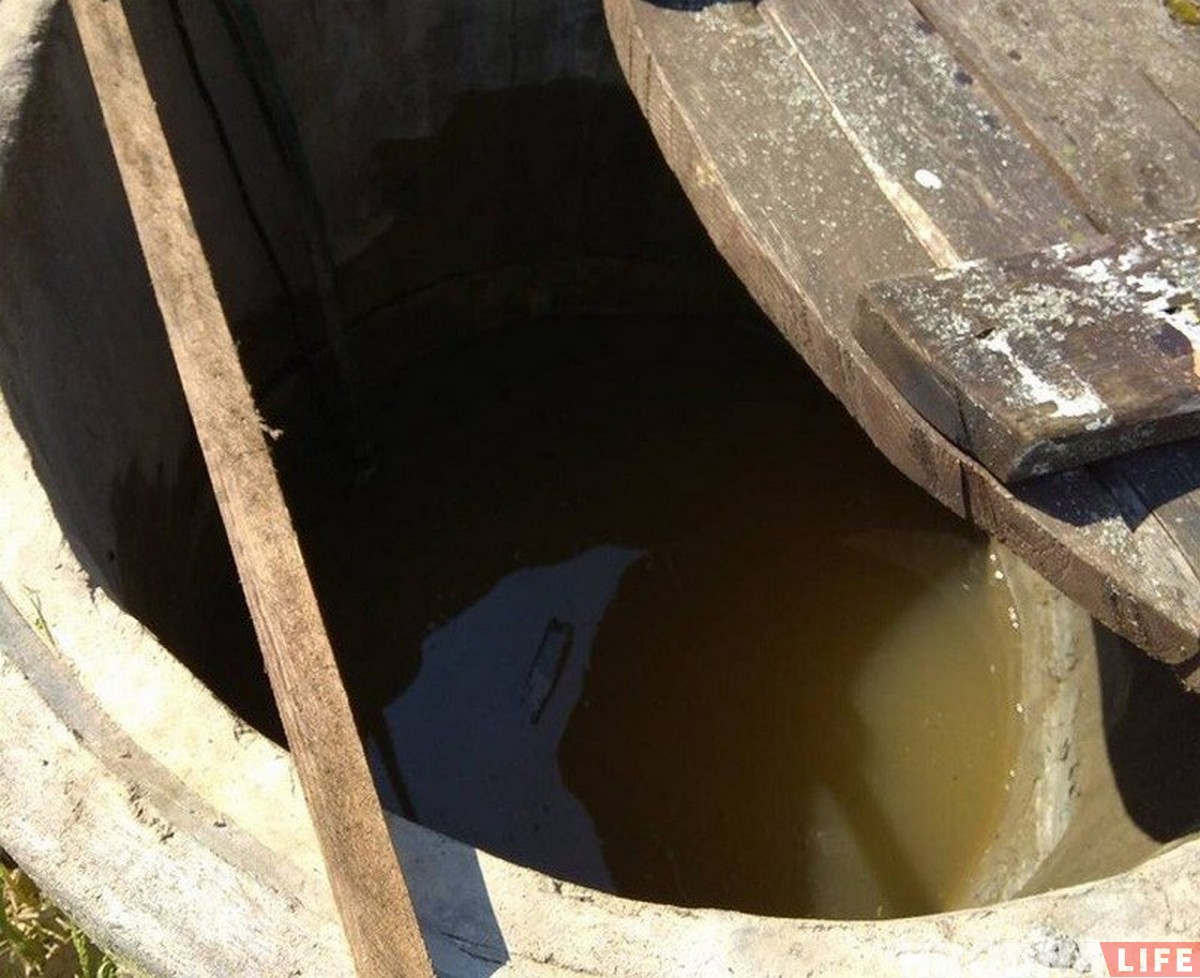 “Панікую, калі ў прагнозе навальніца”. Вёску Рагачы рэгулярна залівае, бо калгас засыпаў вадаадвод