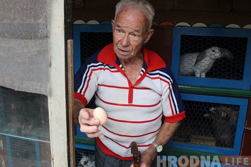 Дзіўнае каханне. У Гродне курыца пасябравала з голубам - і пачала несці яйкі!