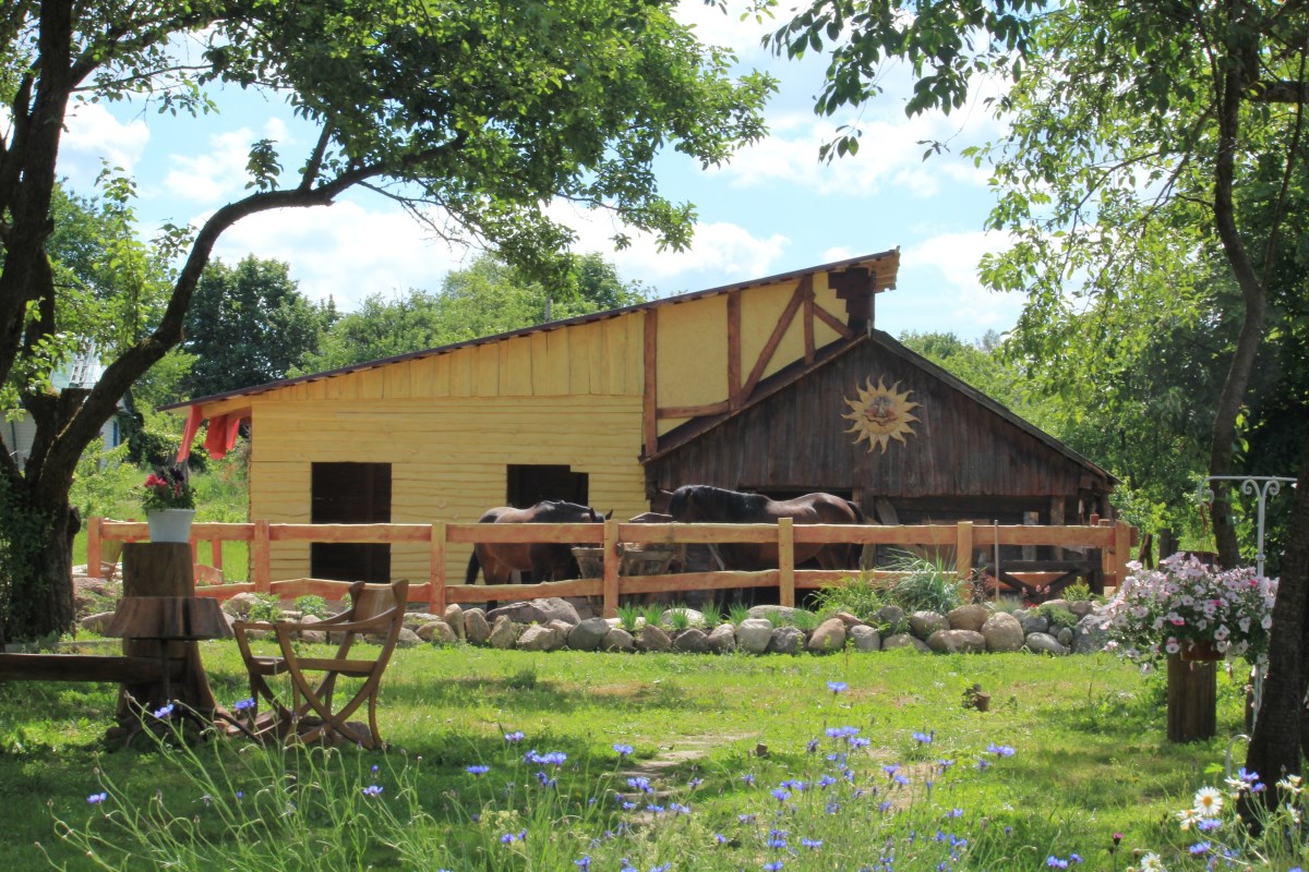 Затапіла кузню, электрастанцыю і стайню. Вёску Рагачы чацвёрты раз за год залівае, а дапамогі няма Затапіла кузню, электрастанцыю і стайню. Вёску Рагачы чацвёрты раз за год залівае, а дапамогі няма