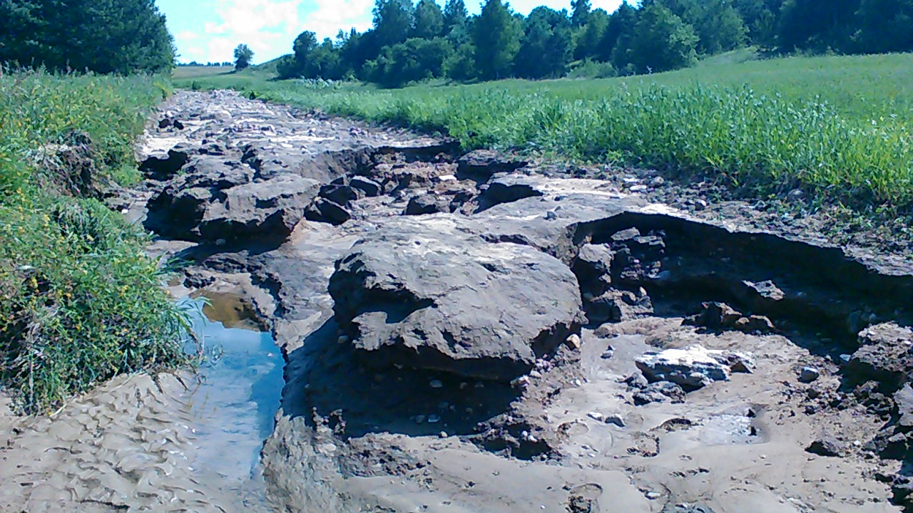 Затапіла кузню, электрастанцыю і стайню. Вёску Рагачы чацвёрты раз за год залівае, а дапамогі няма Затапіла кузню, электрастанцыю і стайню. Вёску Рагачы чацвёрты раз за год залівае, а дапамогі няма