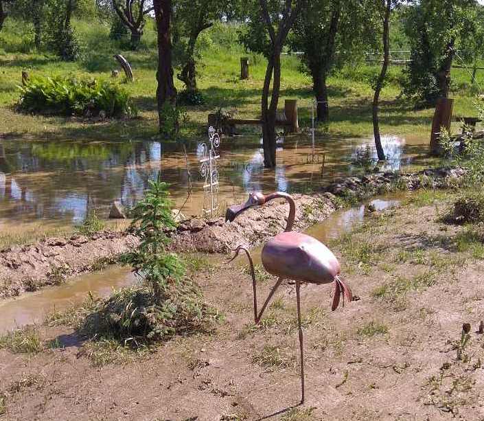 Затапіла кузню, электрастанцыю і стайню. Вёску Рагачы чацвёрты раз за год залівае, а дапамогі няма Затапіла кузню, электрастанцыю і стайню. Вёску Рагачы чацвёрты раз за год залівае, а дапамогі няма