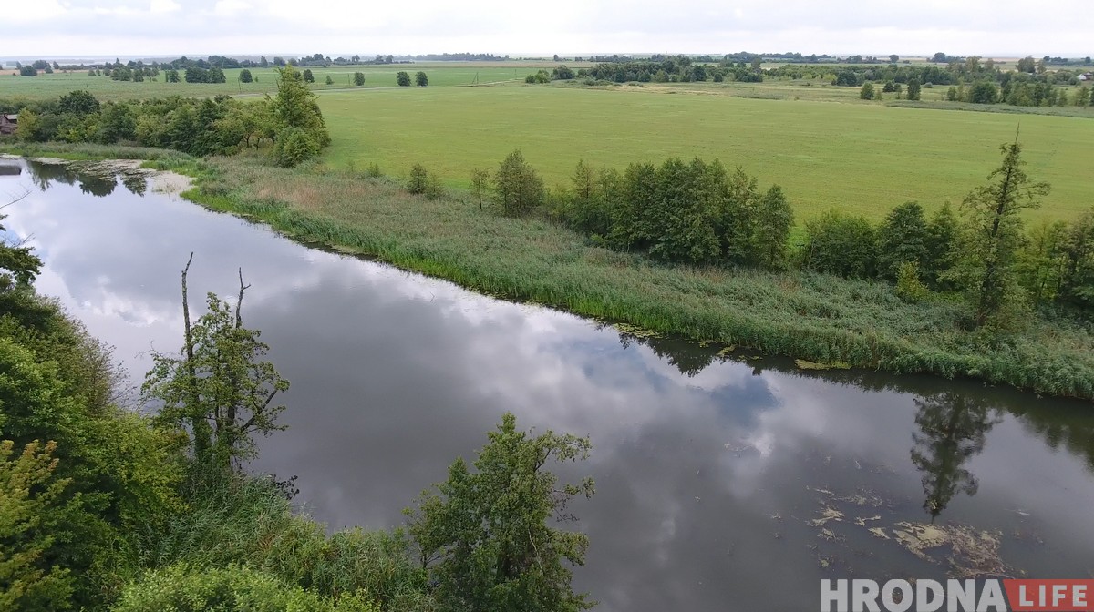 "Калі за птушкамі, то вам - сюды". Як гродзенскі арнітолаг пасылае ўсіх у балота (+дрон-відэа) "Калі за птушкамі, то вам - сюды". Як гродзенскі арнітолаг пасылае ўсіх у балота (+дрон-відэа)