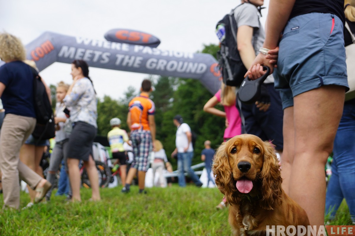 “Выйграў наймацнейшы, а перамог – кожны, хто даехаў да канца”. Веламарафон “Суседзі” прайшоў пад Гродна восьмы раз “Выйграў наймацнейшы, а перамог – кожны, хто даехаў да канца”. Веламарафон “Суседзі” прайшоў пад Гродна восьмы раз