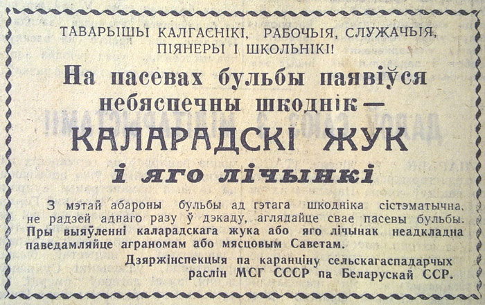 Колорадский жук как "оружие империалистической войны". Как вредитель победно прошел от океана до океана