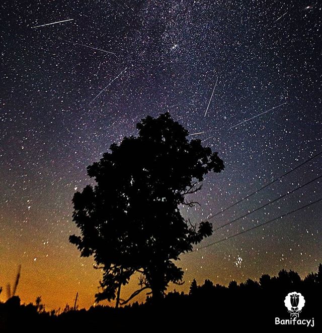 Паспей злавіць зорку, пакуль жнівень не скончыўся. Гродзенскі фатограф дзеліцца вопытам здымкі астрапейзажаў (+ улётныя здымкі начнога неба)