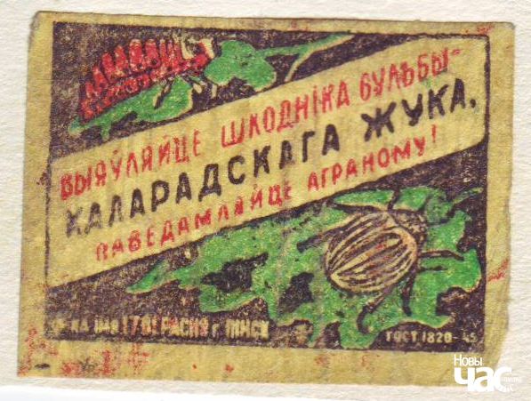 Колорадский жук как "оружие империалистической войны". Как вредитель победно прошел от океана до океана