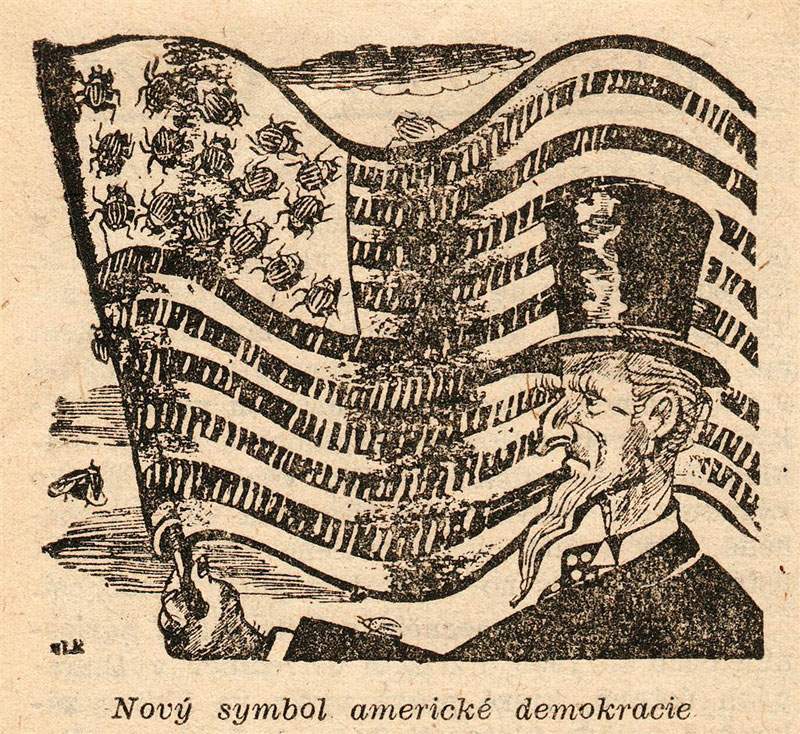 Каларадскі жук як “зброя імперыялістычнай вайны”. Як шкоднік пераможна прайшоў ад акіяну да акіяну Каларадскі жук як “зброя імперыялістычнай вайны”. Як шкоднік пераможна прайшоў ад акіяну да акіяну