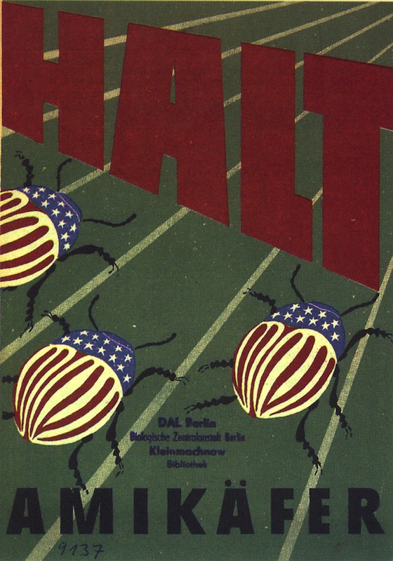Каларадскі жук як “зброя імперыялістычнай вайны”. Як шкоднік пераможна прайшоў ад акіяну да акіяну Каларадскі жук як “зброя імперыялістычнай вайны”. Як шкоднік пераможна прайшоў ад акіяну да акіяну
