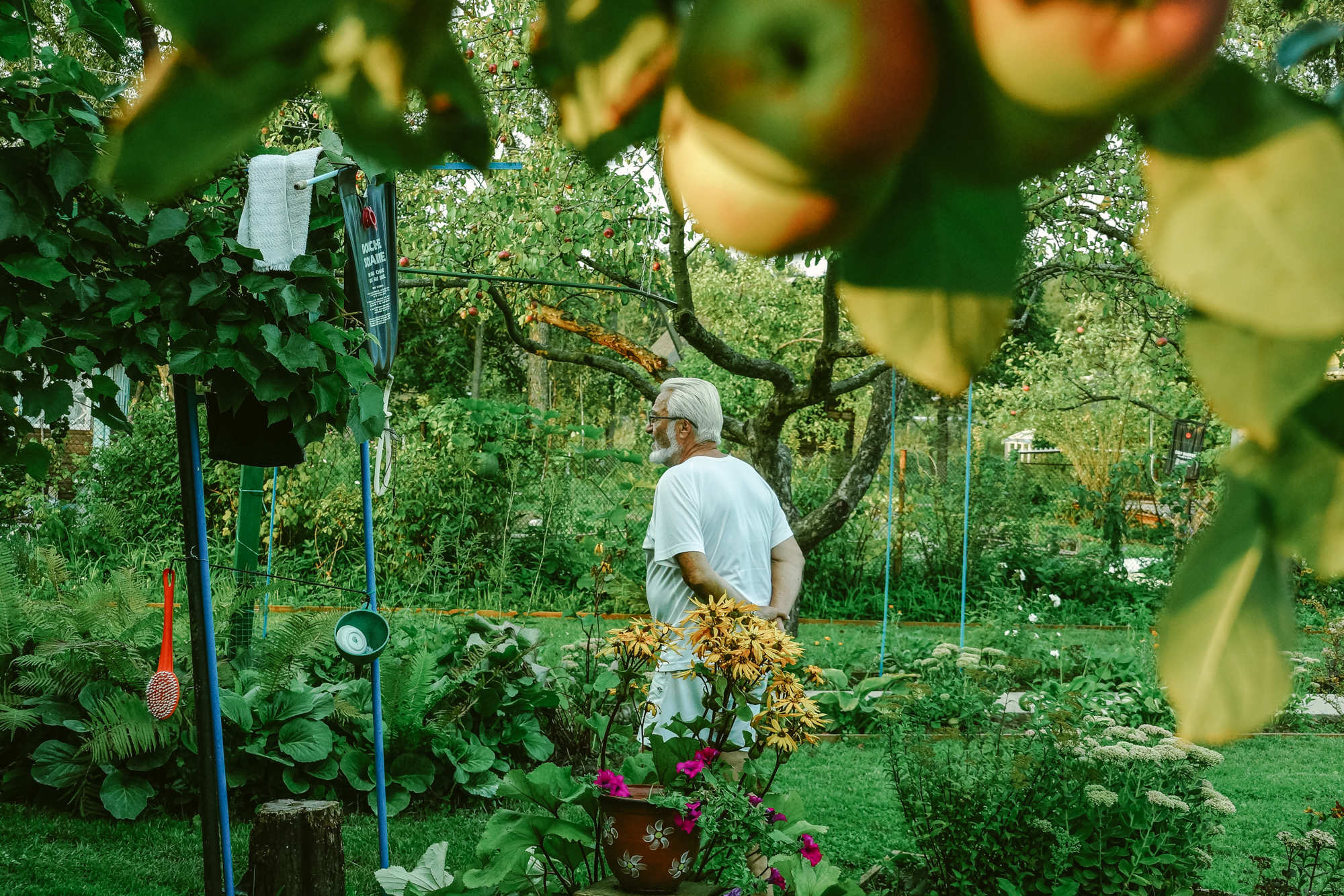 Любовь с акцентом. Лара нашла любовь по скайпу и с французским мужем строит Версаль на даче