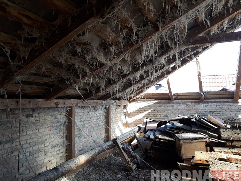 Глядзіце, якое цікавае кляймо знайшлі на даху аднаго са старых дамоў у Гродне Глядзіце, якое цікавае кляймо знайшлі на даху аднаго са старых дамоў у Гродне