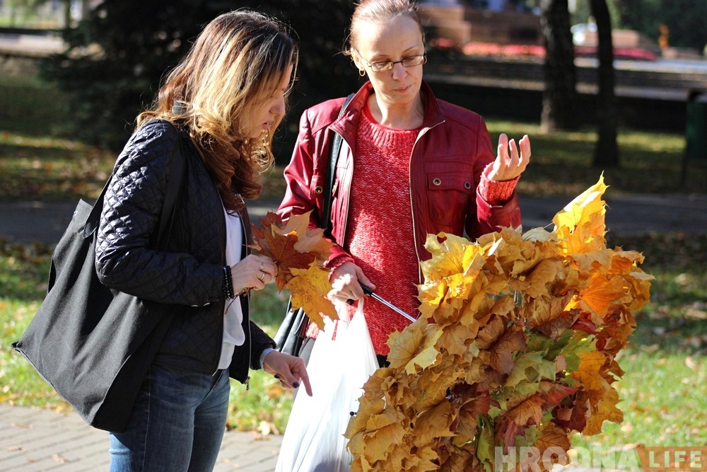 Хіт сезону: сям'я гродзенцаў зрабіла парасон з лісця і парадавала гараджан