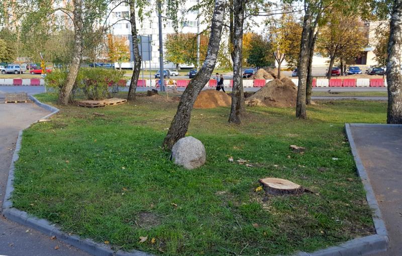 Горе-расширение в Гродно. Под шумок спилили ещё четыре незапланированных дерева