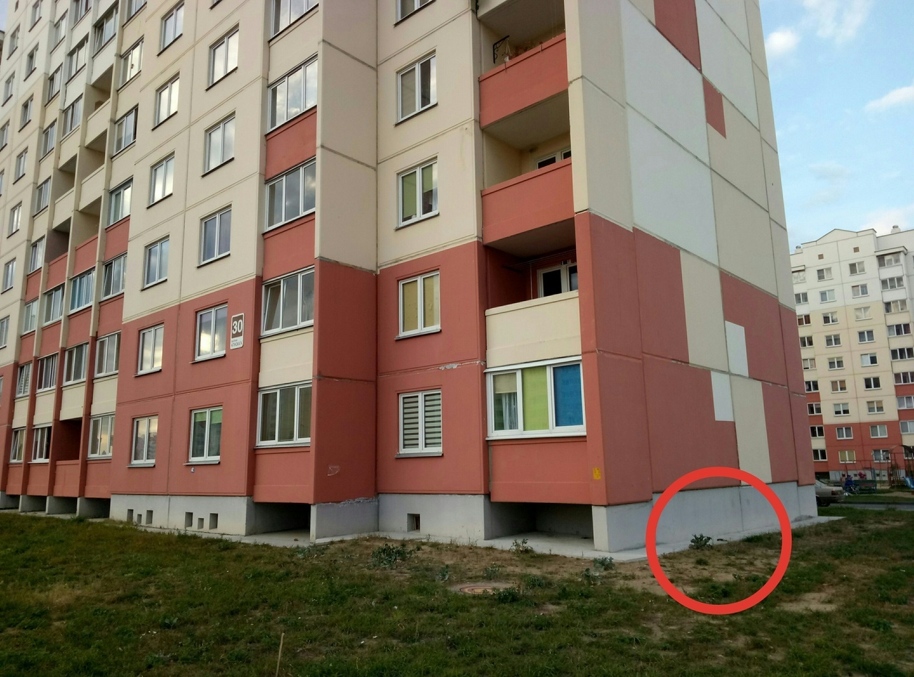 На Ольшанке дети кинули птицу об стену. Теперь их ищет милиция