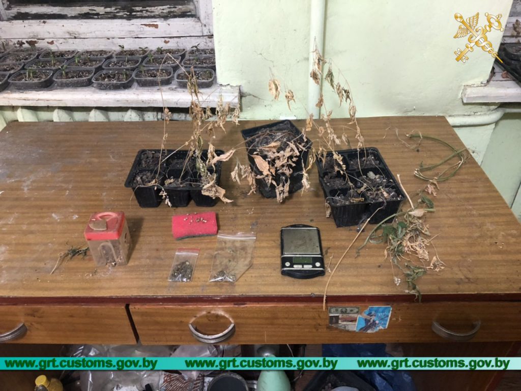 У Гродна затрымалі гандляра марыхуанай (+відэа)