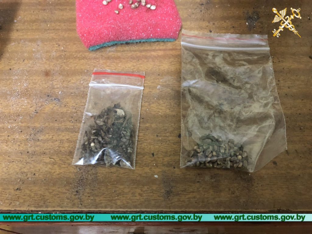 У Гродна затрымалі гандляра марыхуанай (+відэа)