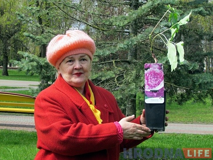 Вапы старога Гродна. Да 70-годдзя Наталлі Канюк