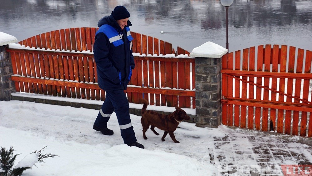 "Пакінуць у бядзе не маглі". Ратавальнікі расказалі, як здымалі з крыгі сабаку