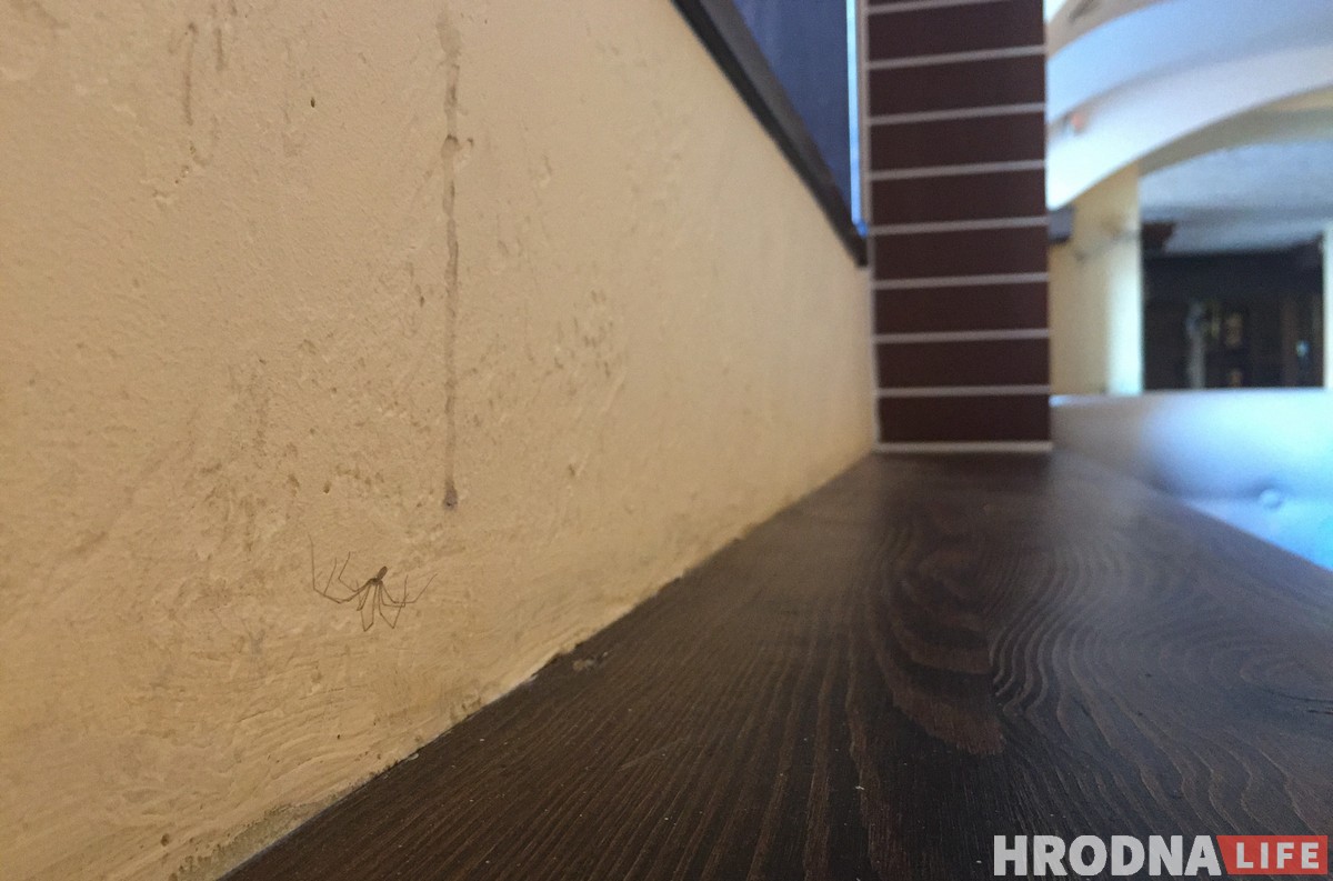 Таемны госць у гродзенскіх кавярнях: абед у “Рэтра Піца”