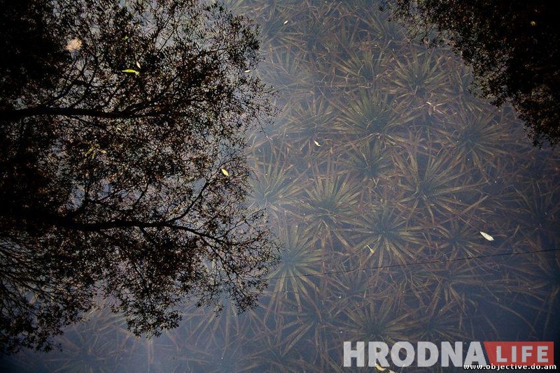 Двойники. Девушка из Гродно нашла свою "копию" из Москвы