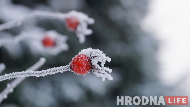 Глядзіце, як выглядае сапраўдны зімовы Гродна (фота)