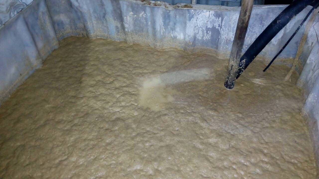 У лесе Гродзенскага раёна канфіскавалі 140 літраў самагонкі і тры тоны брагі У лесе Гродзенскага раёна канфіскавалі 140 літраў самагонкі і тры тоны брагі