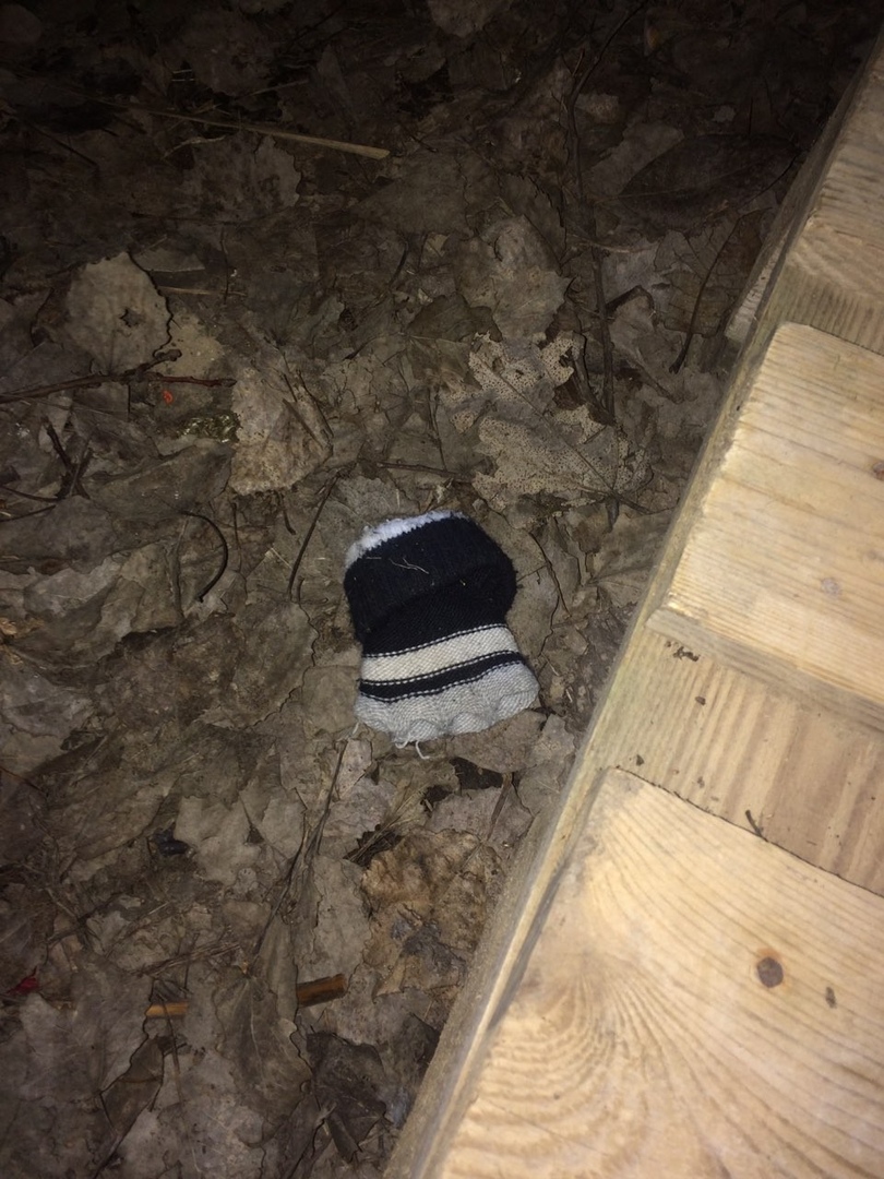 У Гродне да чатырох раніцы шукалі трох 8-гадовых дзяўчынак, якія не вярнуліся дадому са школы У Гродне да чатырох раніцы шукалі трох 8-гадовых дзяўчынак, якія не вярнуліся дадому са школы